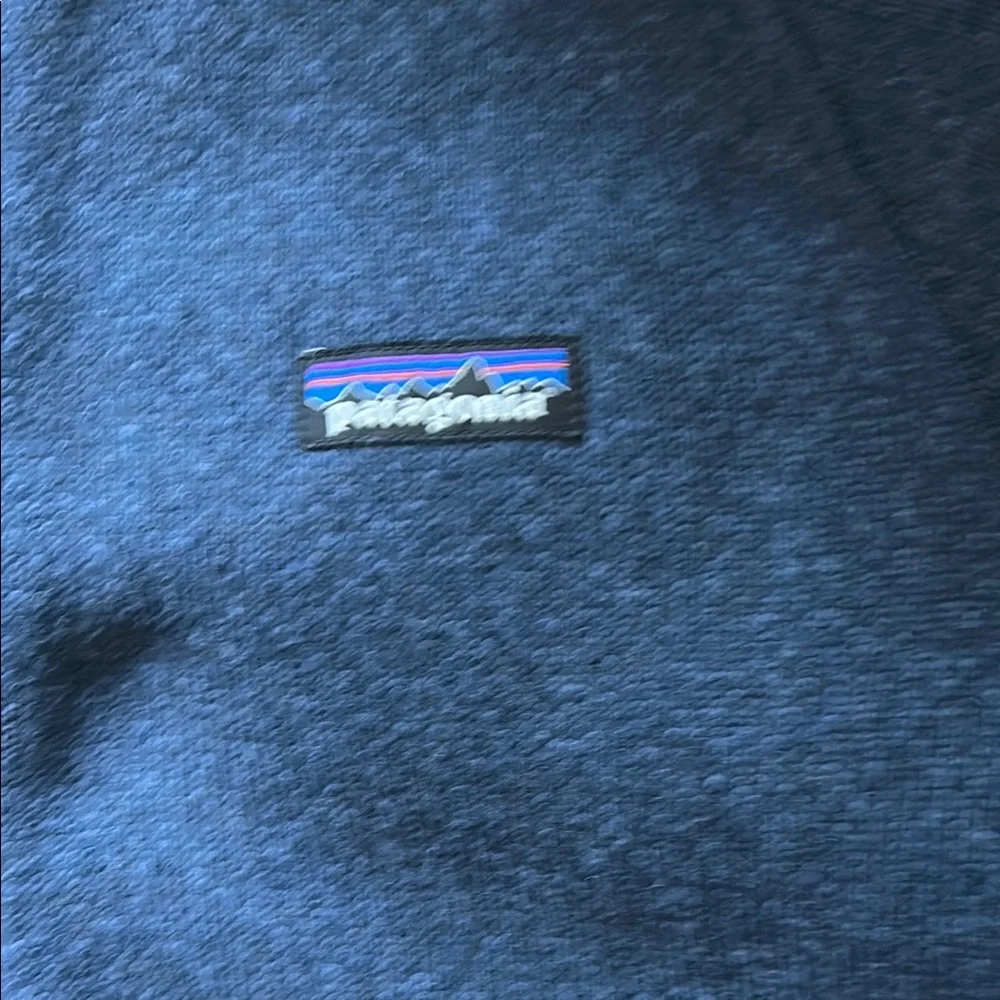 PATAGONIA Blue Quartz 1/2 zip pullover Sweatshirt Size Large - Picture 4 of 8